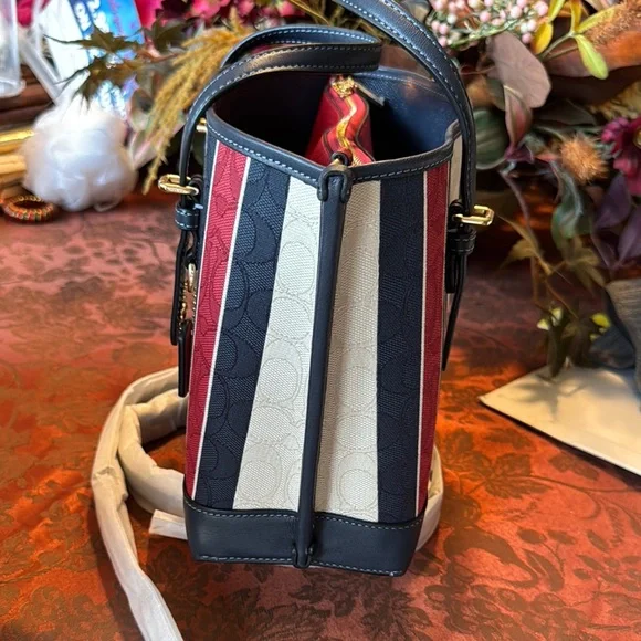 Coach Multicolor Striped Women's Bag - Picture 8 of 16